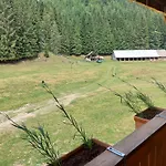 Hut Vaznik Chalet *