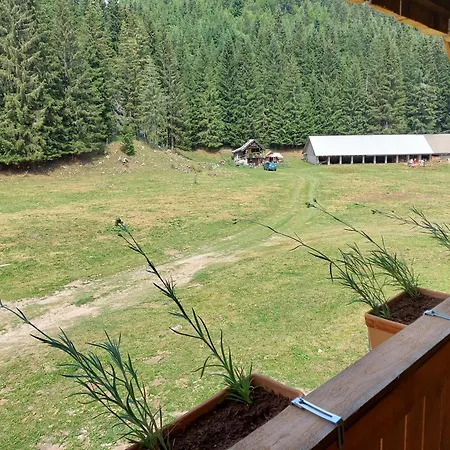 Hut Vaznik Brvnara *