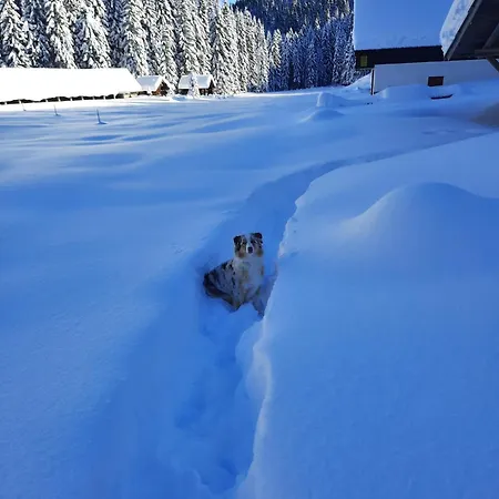 Hut Vaznik Mrzli Studenec