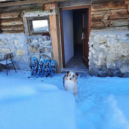 Brvnara Hut Vaznik