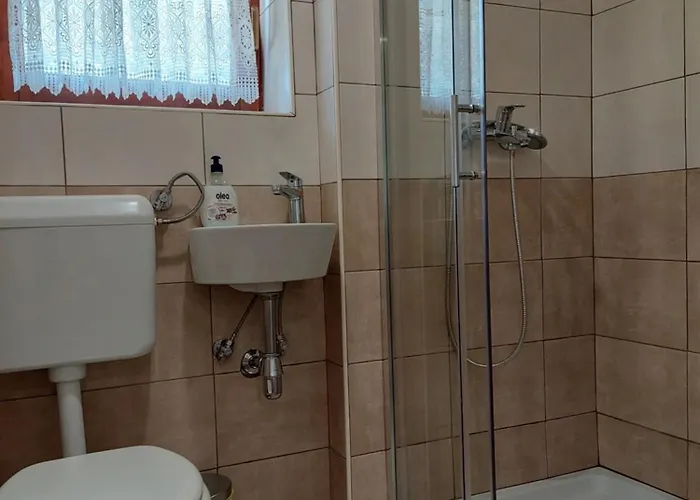 木屋 Hut Vaznik Mrzli Studenec