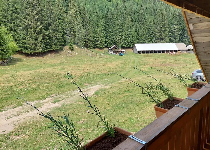 Hut Vaznik Horská chata *