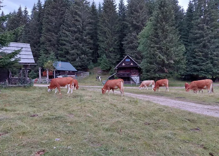 Hut Vaznik Horská chata *