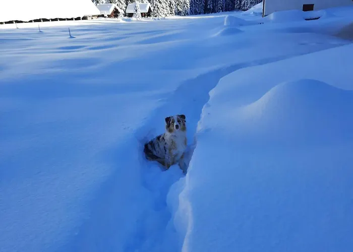 Hut Vaznik Mrzli Studenec