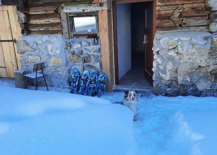 Hut Vaznik Horská chata *